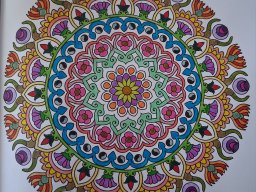 whatsapp bild 2025-04-04 um 10.41.32_6073373f